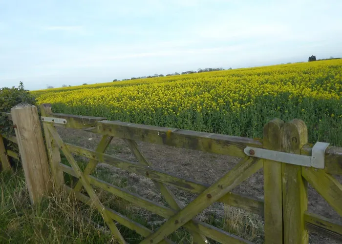 The Sun Trap @ Bridlington\'S Bed & Bowl Beach Breaks