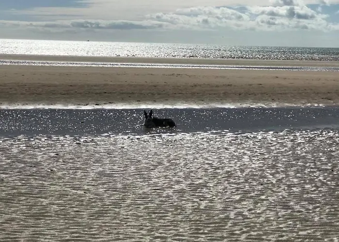 The Sun Trap @ Bridlington\'S Bed & Bowl Beach Breaks
