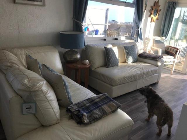 The Sun Trap @ Bridlington's Bed & Bowl Breaks * Bridlington